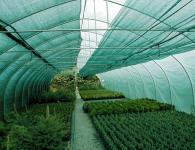 Затеняющая сетка для теплиц – лучший способ предохранения растений от палящего солнца Чем закрыть теплицу от солнца